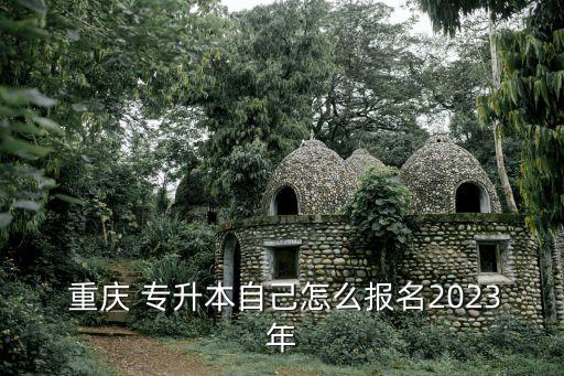  重慶 專升本自己怎么報(bào)名2023年