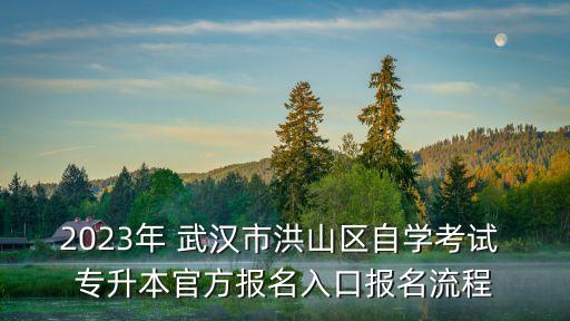 2023年 武漢市洪山區(qū)自學考試 專升本官方報名入口報名流程