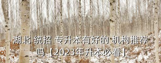 湖北 統(tǒng)招 專升本有好的 機(jī)構(gòu)推薦嗎【2023年升本必看】