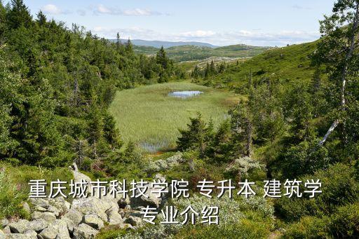 可以專升本建筑學的專業(yè),湖北建筑學專升本學校有哪些