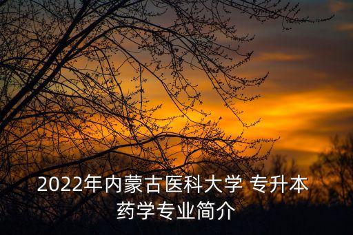 2022年內(nèi)蒙古醫(yī)科大學(xué) 專升本 藥學(xué)專業(yè)簡介