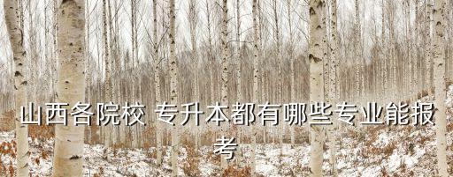 山西各院校 專升本都有哪些專業(yè)能報考