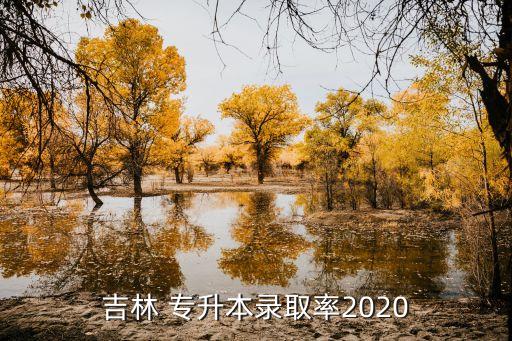 吉林 專(zhuān)升本錄取率2020