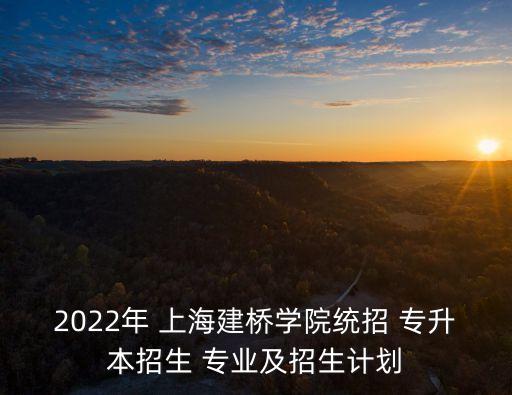 2022年 上海建橋?qū)W院統(tǒng)招 專升本招生 專業(yè)及招生計(jì)劃