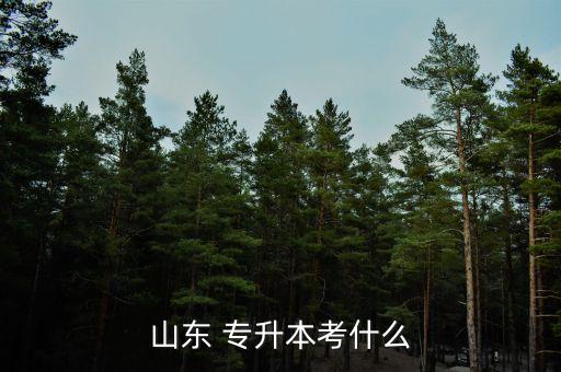 山東 專升本考什么