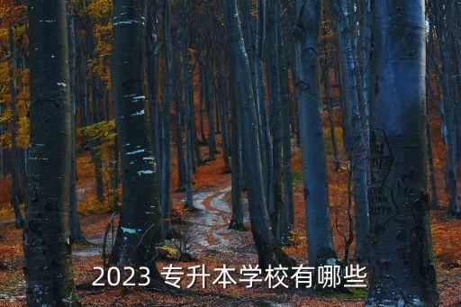 新疆財(cái)經(jīng)大學(xué)專(zhuān)升本試,2022年新疆財(cái)經(jīng)大學(xué)專(zhuān)升本分?jǐn)?shù)線(xiàn)