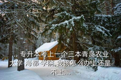 ... 專升本考上一個三本青島農業(yè)大學 海都 學院,我該怎么辦上還是不上...