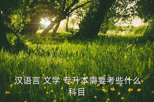 漢語言文學專升本用書,河南專升本漢語言文學錄取分數(shù)線