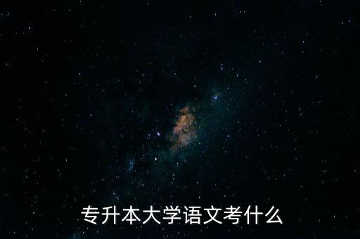  專升本大學語文考什么