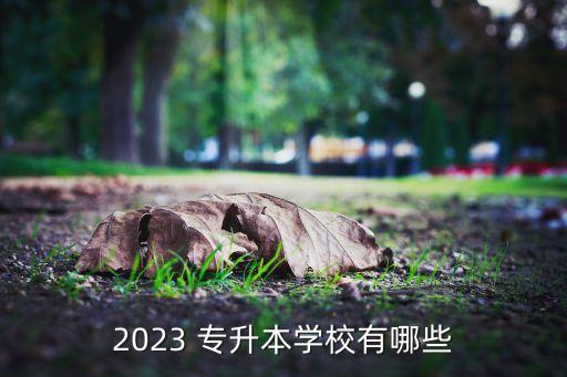 2023 專升本學(xué)校有哪些