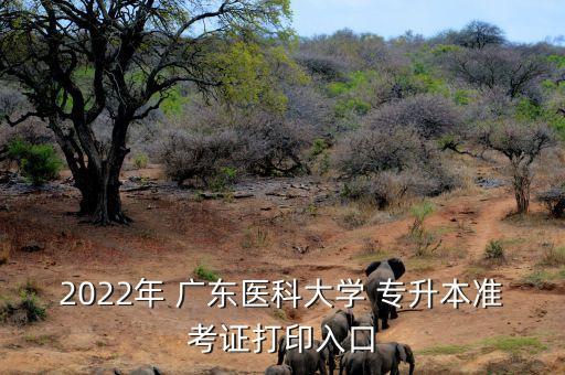 2022年 廣東醫(yī)科大學(xué) 專升本準(zhǔn)考證打印入口