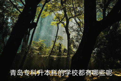 青島理工大學(xué)有專升本