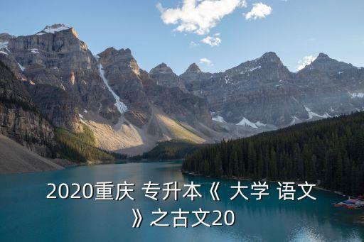 2020重慶 專(zhuān)升本《 大學(xué) 語(yǔ)文》之古文20