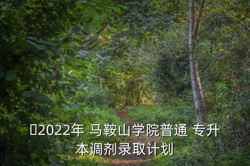 ?2022年 馬鞍山學(xué)院普通 專升本調(diào)劑錄取計(jì)劃