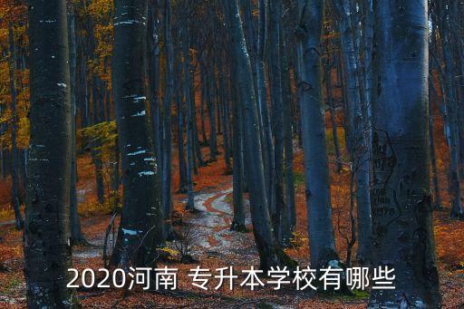 2020河南 專升本學校有哪些