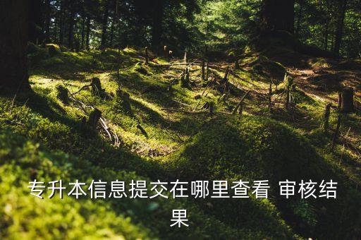 專升本學(xué)籍審核,湖北專升本學(xué)籍證明審核未通過