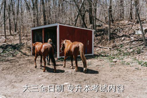 大三全日制 專升本考試內容