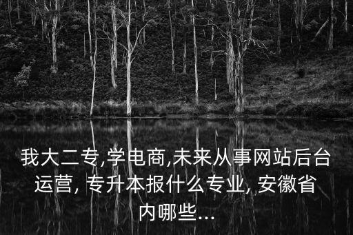 我大二專,學電商,未來從事網站后臺運營, 專升本報什么專業(yè), 安徽省內哪些...