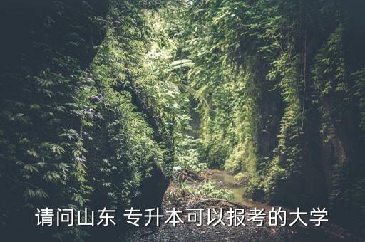 請問山東 專升本可以報(bào)考的大學(xué)