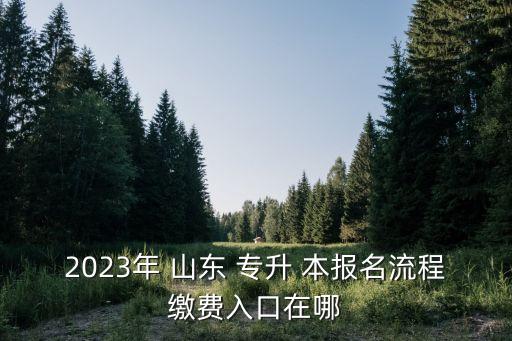 2023年 山東 專(zhuān)升 本報(bào)名流程繳費(fèi)入口在哪