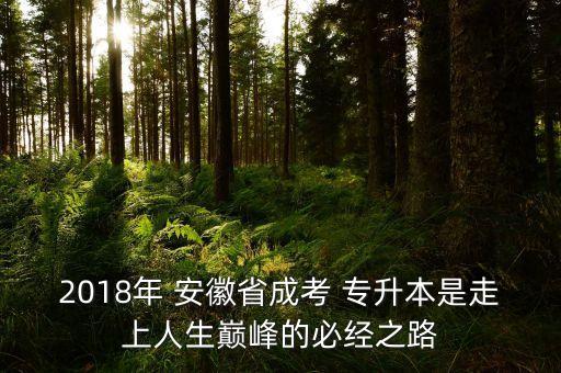 2018年 安徽省成考 專升本是走上人生巔峰的必經(jīng)之路