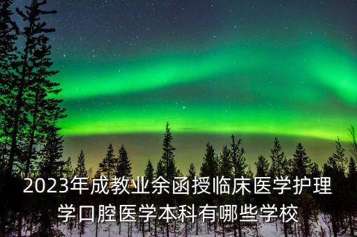 2023年成教業(yè)余函授臨床醫(yī)學(xué)護理學(xué)口腔醫(yī)學(xué)本科有哪些學(xué)校