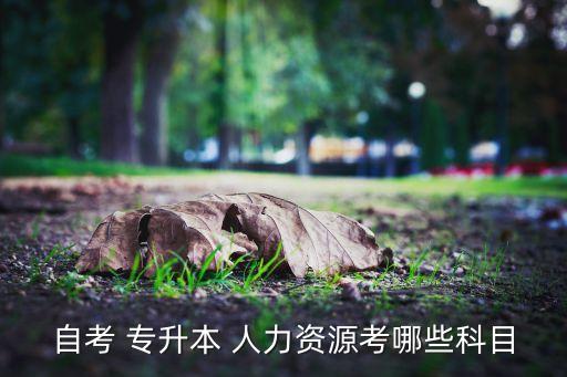 人力資源管理專升本,安徽建筑大學(xué)人力資源管理專升本