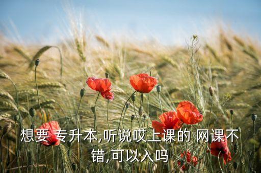 想要 專升本,聽(tīng)說(shuō)哎上課的 網(wǎng)課不錯(cuò),可以入嗎