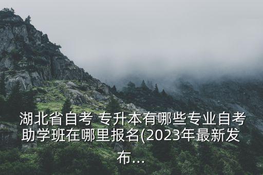  湖北省自考 專升本有哪些專業(yè)自考助學(xué)班在哪里報(bào)名(2023年最新發(fā)布...