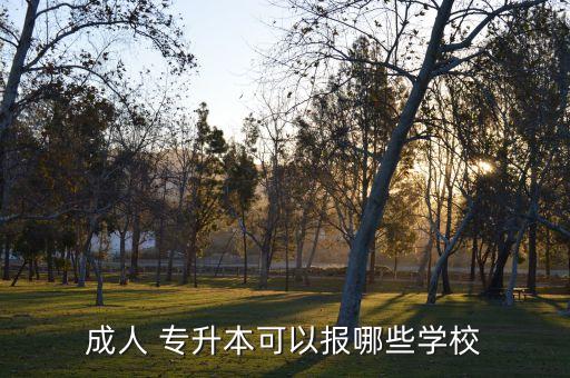 鄭州旅游職業(yè)學(xué)院有專升本嗎,鄭州商貿(mào)旅游職業(yè)學(xué)院專升本率