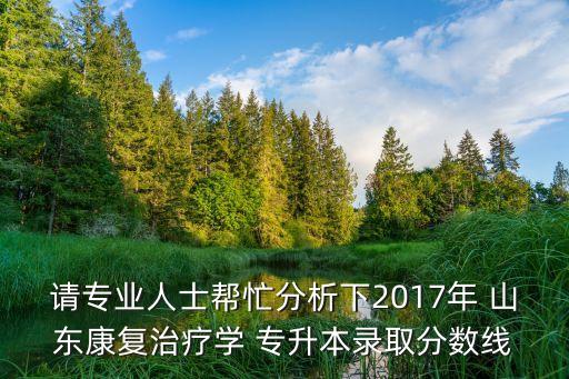 請專業(yè)人士幫忙分析下2017年 山東康復治療學 專升本錄取分數線