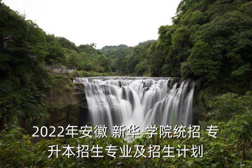 2022年安徽 新華 學(xué)院統(tǒng)招 專升本招生專業(yè)及招生計劃