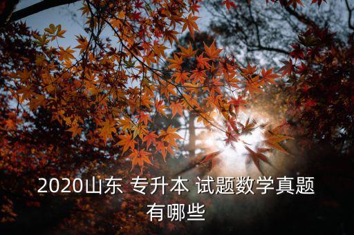 2020山東 專升本 試題數(shù)學(xué)真題有哪些