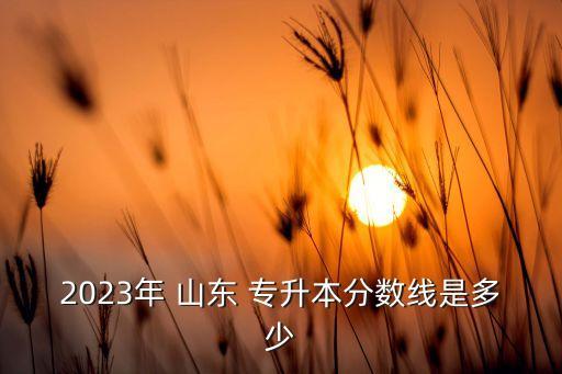 2023年 山東 專升本分?jǐn)?shù)線是多少