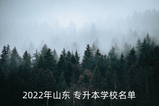 2022年山東 專升本學(xué)校名單