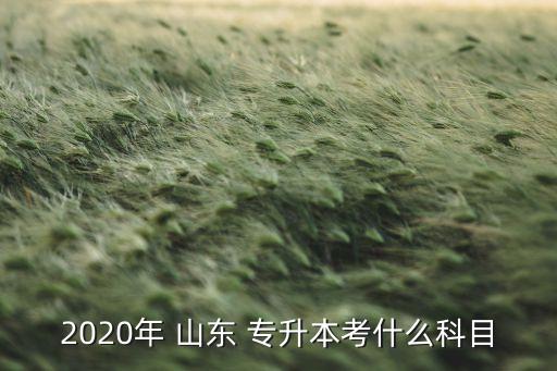 2020年 山東 專升本考什么科目