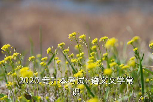 2020 專升本考試: 語(yǔ)文文學(xué)常識(shí)