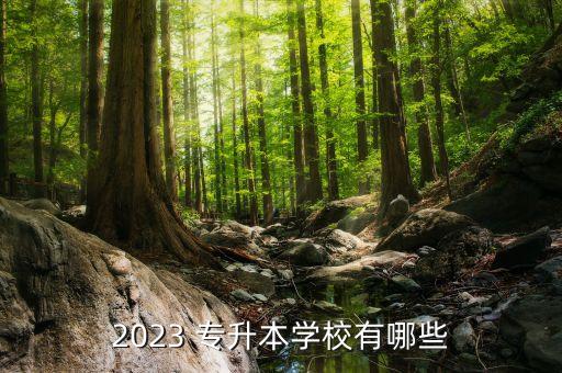 新華學(xué)院專升本英語,安徽新華學(xué)院專升本2022