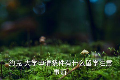 專升本英國約克大學,英國約克大學碩士一年花費