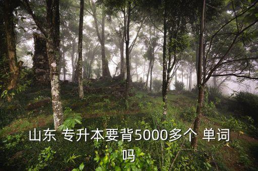 山東 專升本要背5000多個 單詞嗎