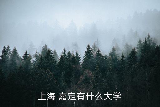 上海 嘉定有什么大學(xué)