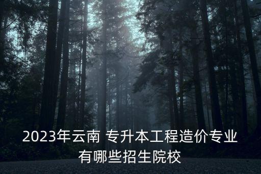 2023年云南 專升本工程造價專業(yè)有哪些招生院校