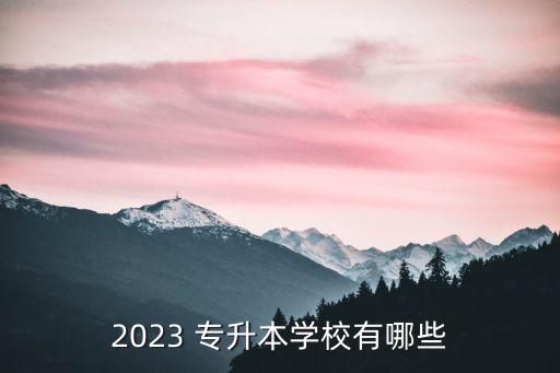 2023 專升本學校有哪些