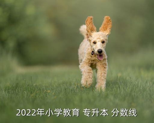 2022年小學(xué)教育 專升本 分?jǐn)?shù)線