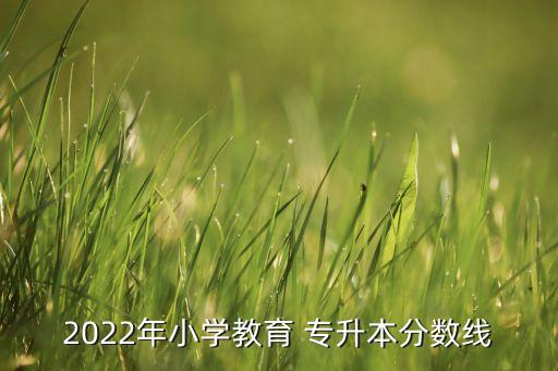 2022年小學教育 專升本分數(shù)線