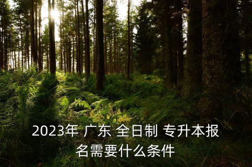 2023年 廣東 全日制 專升本報名需要什么條件