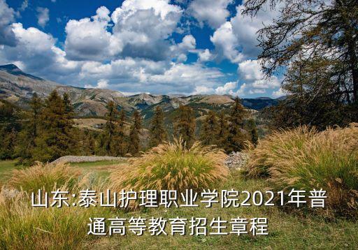 山東:泰山護(hù)理職業(yè)學(xué)院2021年普通高等教育招生章程