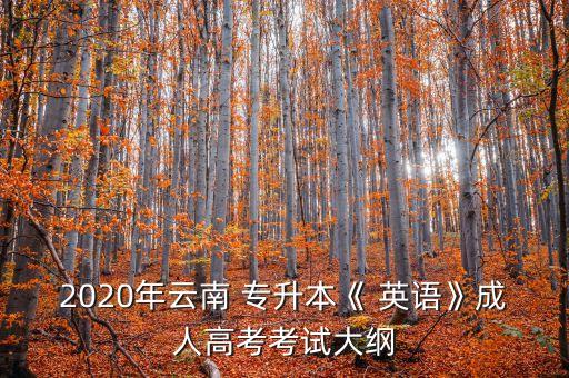 2020年云南 專升本《 英語》成人高考考試大綱