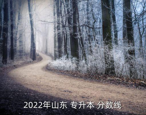 2022年山東 專升本 分?jǐn)?shù)線