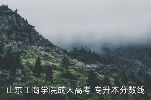 山東工商學(xué)院成人高考 專升本分數(shù)線